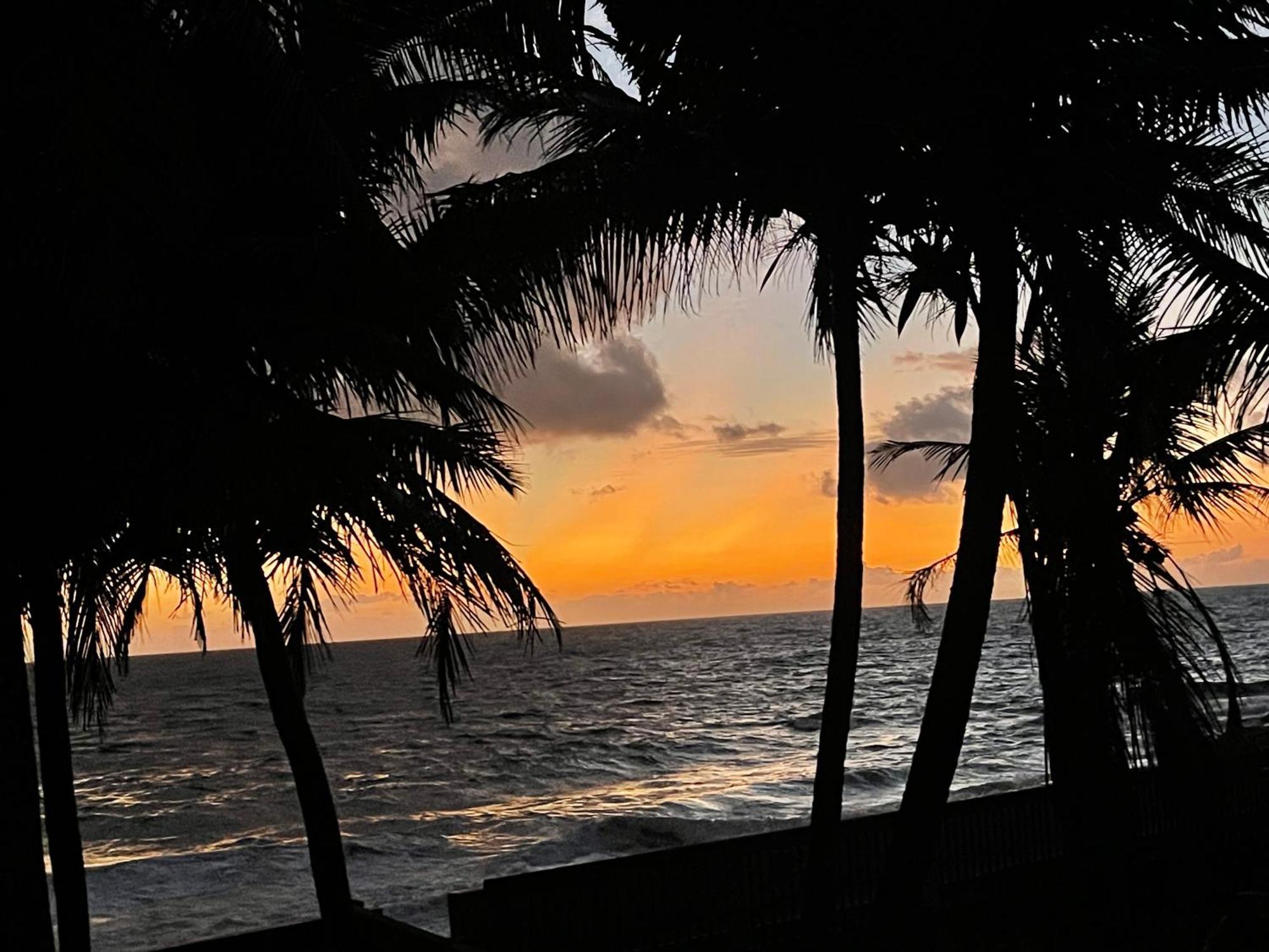 Blue Maalu Resort Ambalangoda  Eksteriør billede