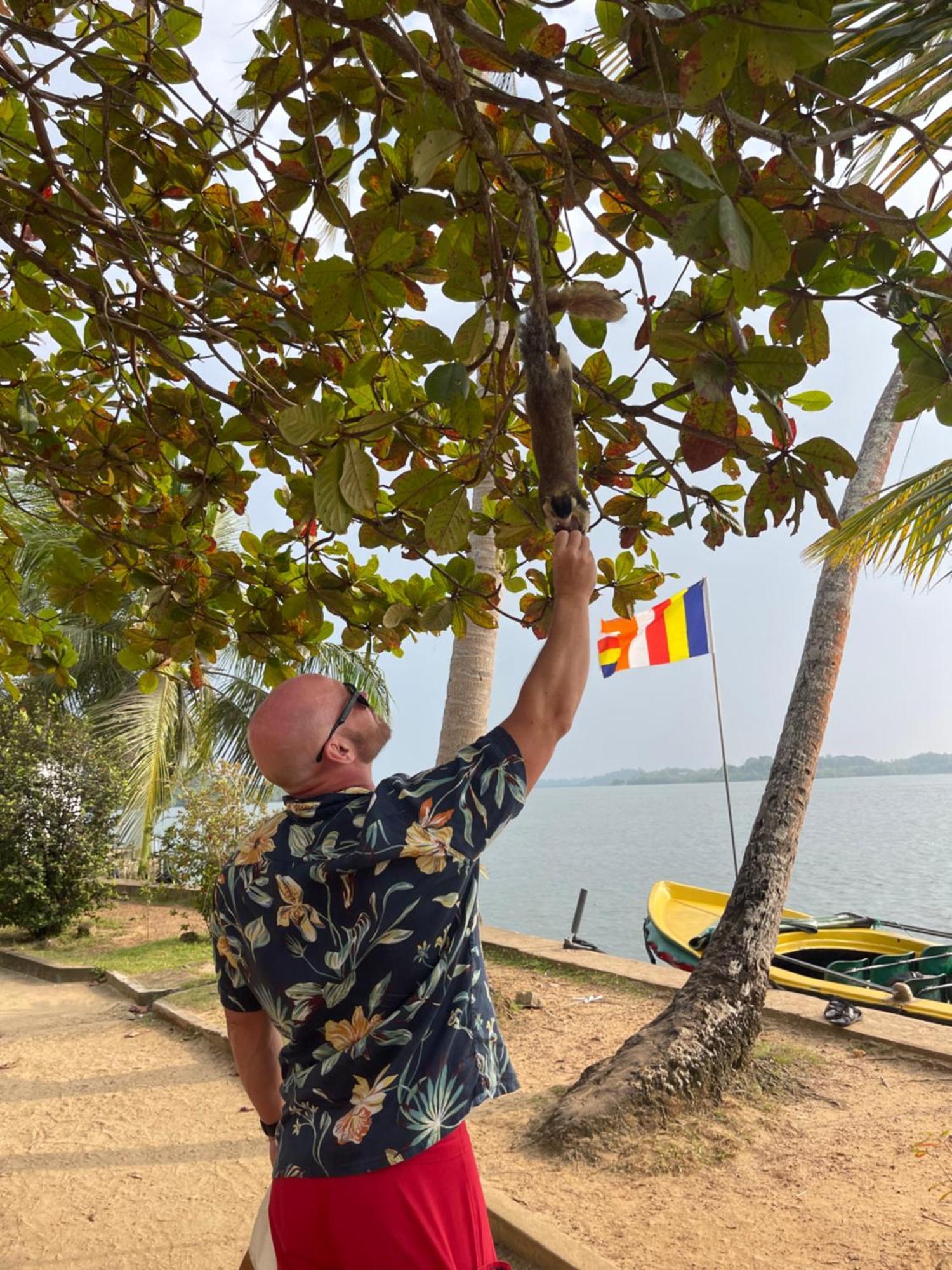 Blue Maalu Resort Ambalangoda  Eksteriør billede