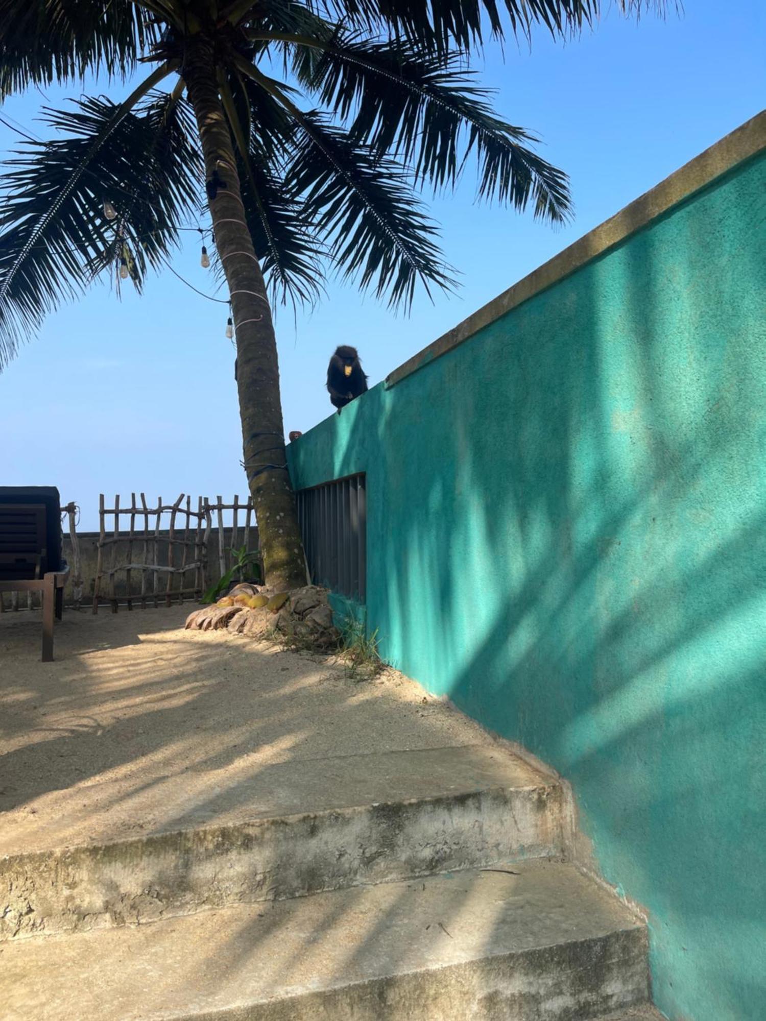 Blue Maalu Resort Ambalangoda  Eksteriør billede